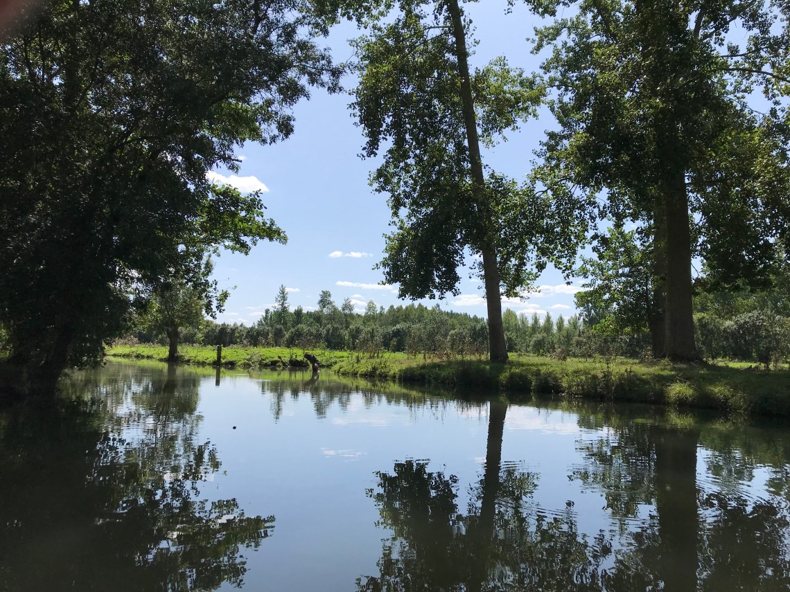 CBB4F8BB-7536-4104-BBA9-6EEABB346950